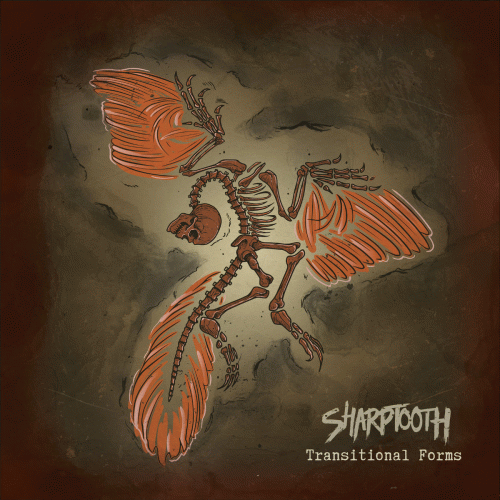 Sharptooth : Transitional Forms